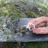 salchichón ibérico herradura naturaleza